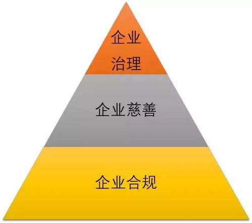 社會問題驅(qū)動商業(yè)創(chuàng)新 MSC咨詢創(chuàng)始人兼CEO譚亞幸的社會經(jīng)濟(jì)咨詢服務(wù)探索